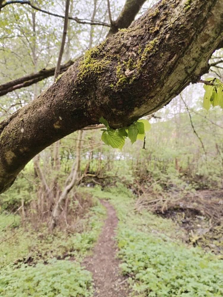 Photograph by Юлия Ю.