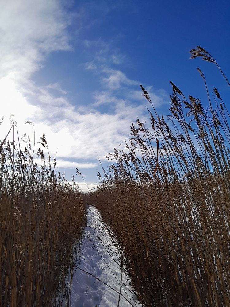 Photograph by Виталий