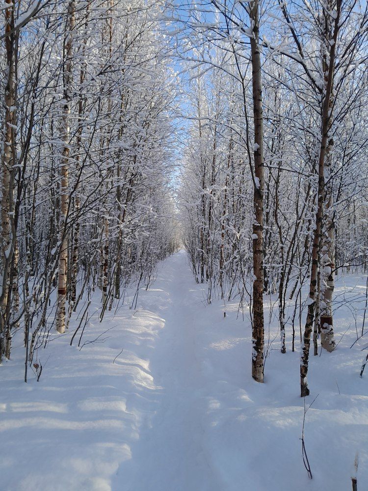 Photograph by Виталий