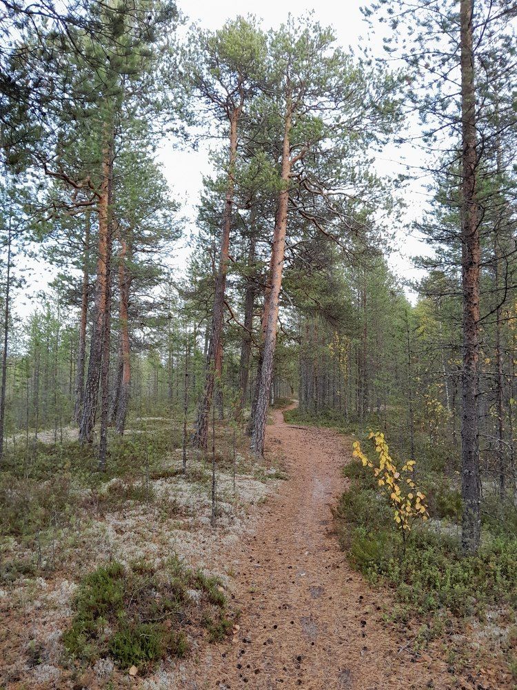 Photograph by Виталий