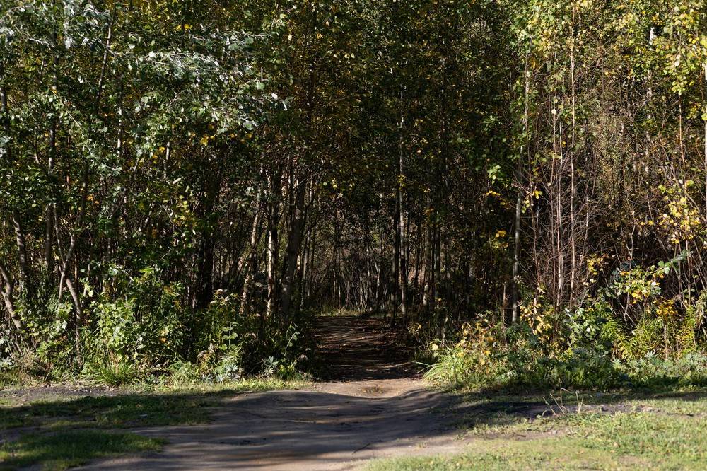 Фотография автора Алина Павлова