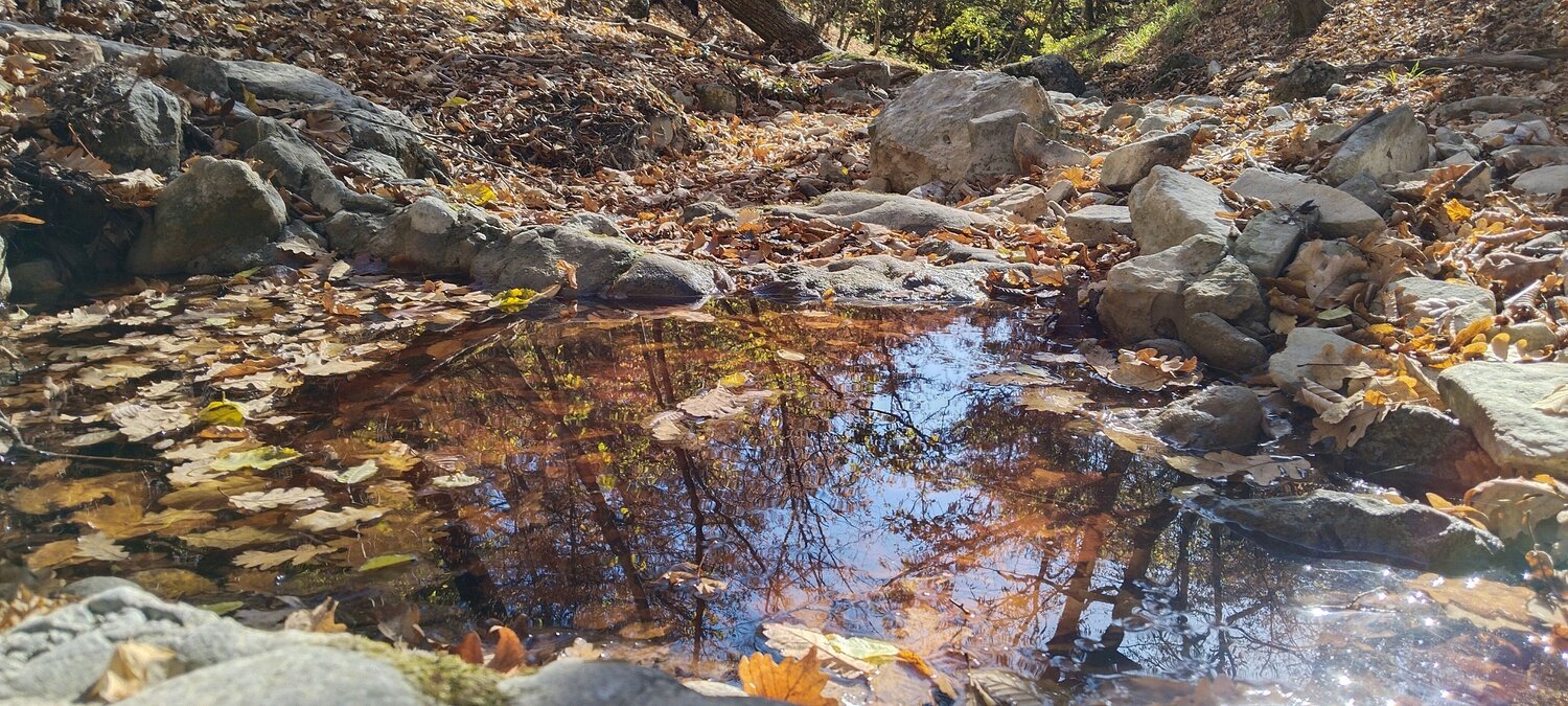 Photo #11213666