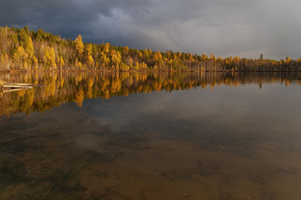 Photograph by Дмитрий Бухтик