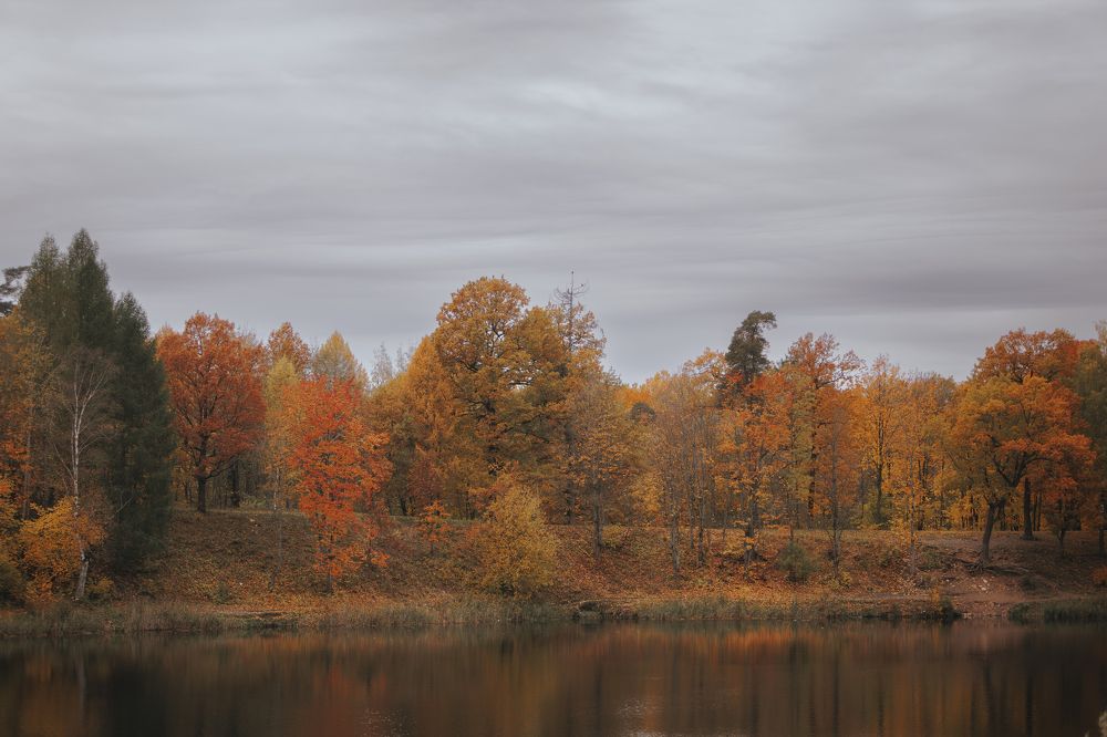 Photograph by Мария Клещенко