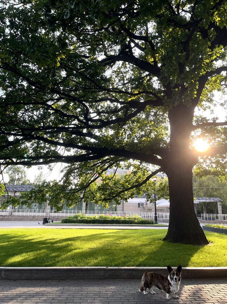 Photograph by Юлия Шевцова