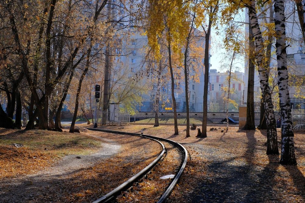 Осенью в парке.