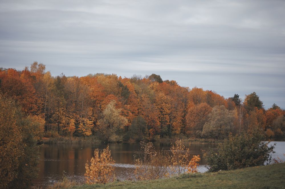 Photograph by Мария Клещенко