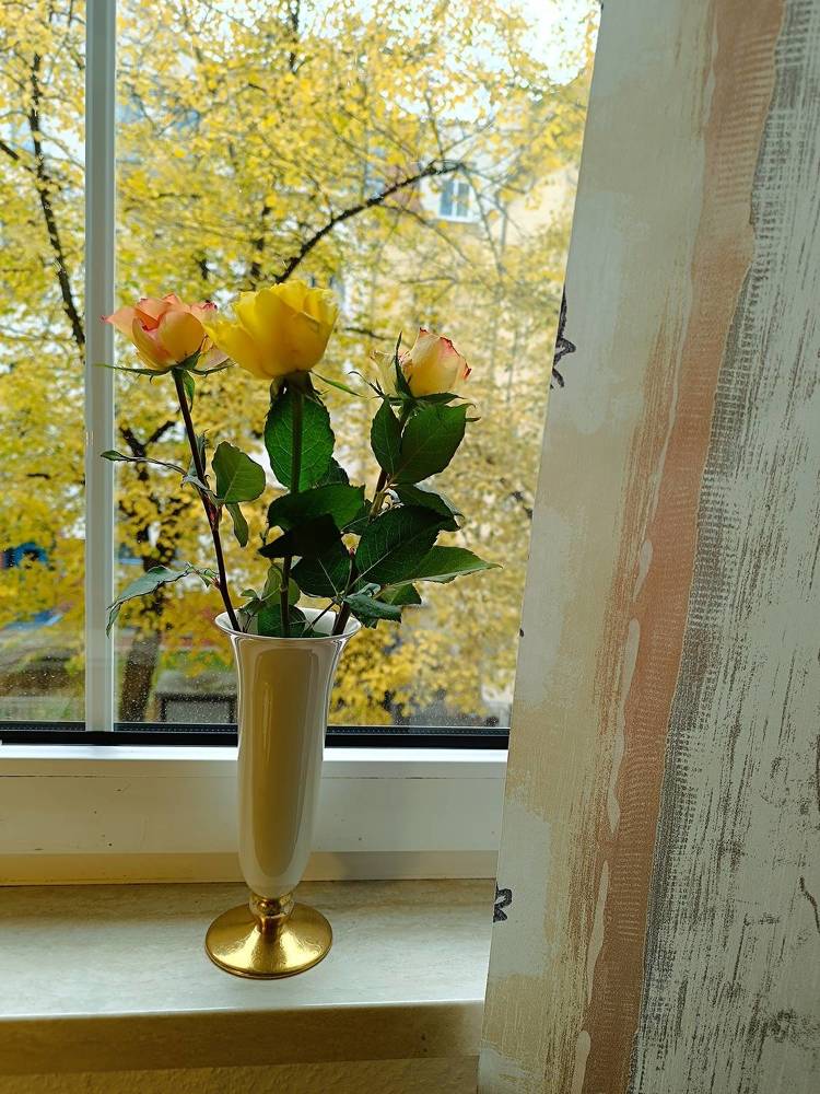 Photograph by Oleg Yashin