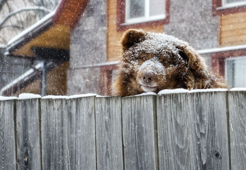 Photograph by Роман Пацкевич