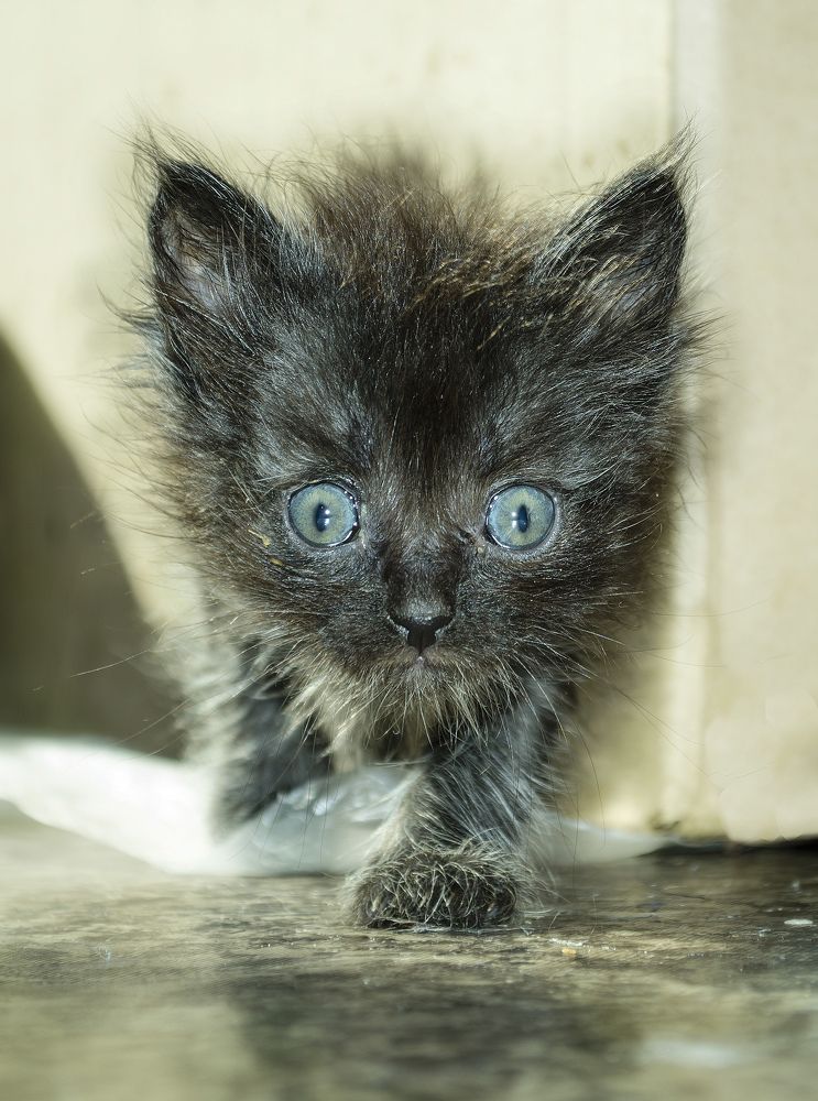 Photograph by Роман Пацкевич