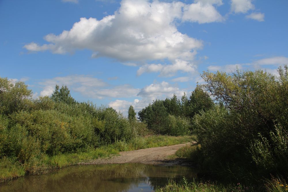 Photograph by Виталий Першин