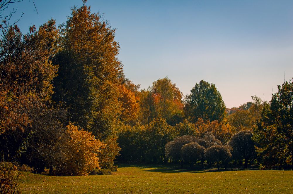 Photograph by Ирина Кочергина