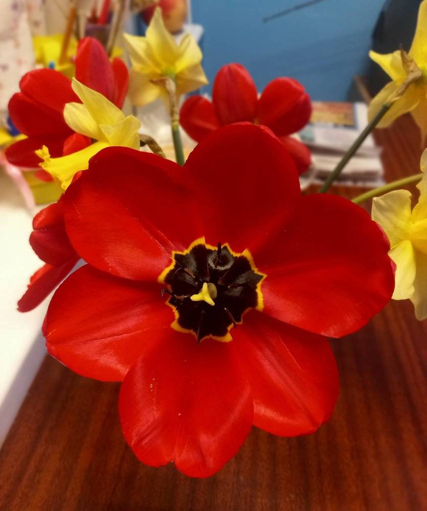 Photograph by Екатерина Хозяшева