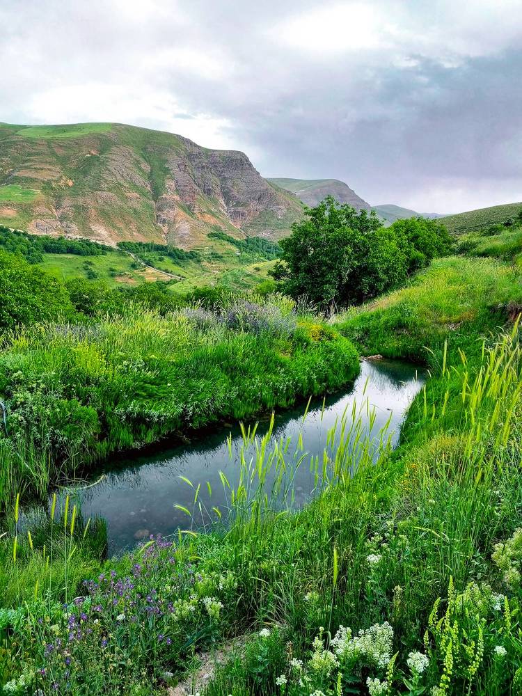 Фотография автора Naser Rezeian