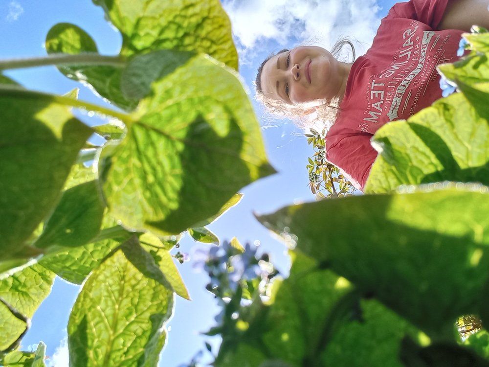 Photograph by Екатерина Хозяшева