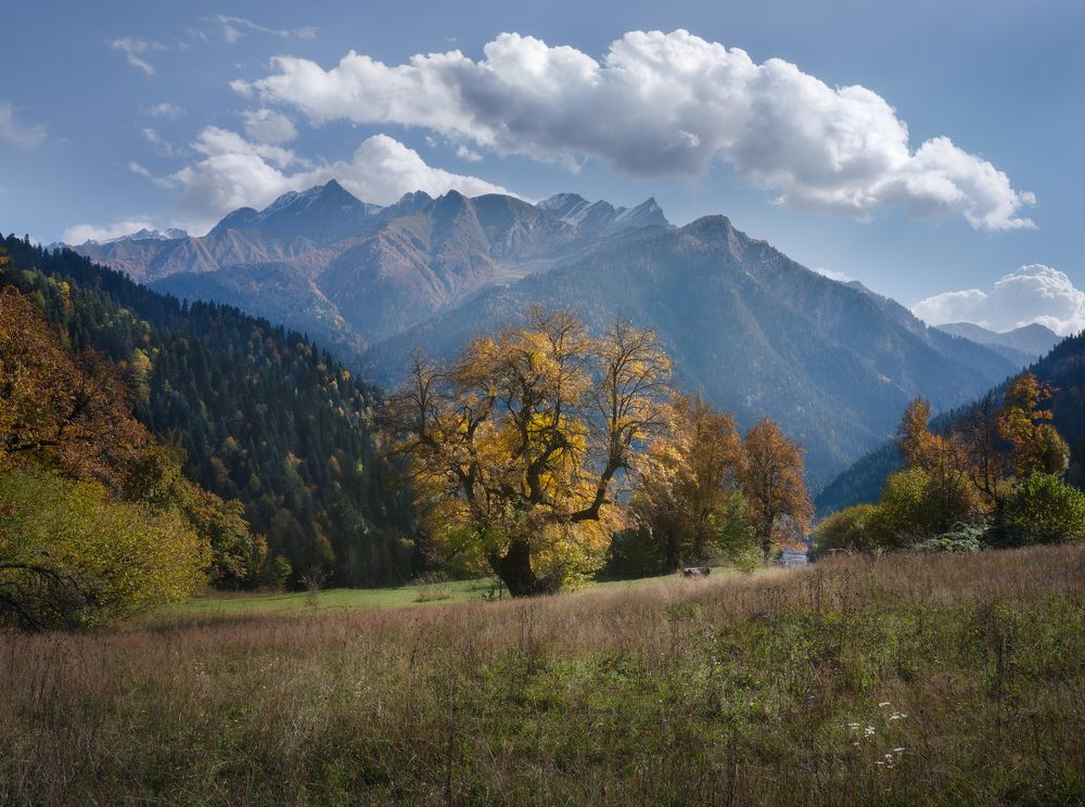 Photograph by Helen Vasilieva