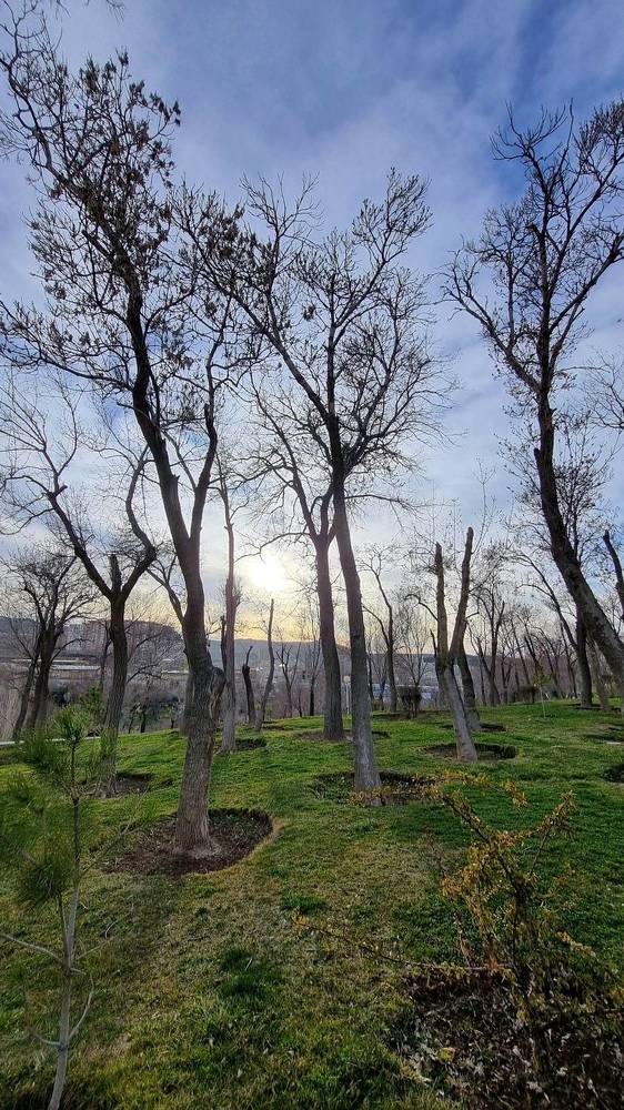 Фотография автора Naser Rezeian