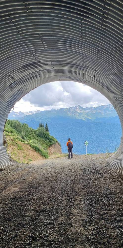 Photograph by Elena Ovsannikova