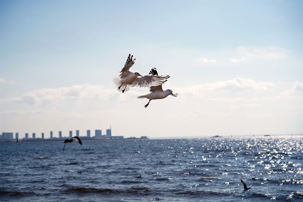 Photograph by Наталья Коржова