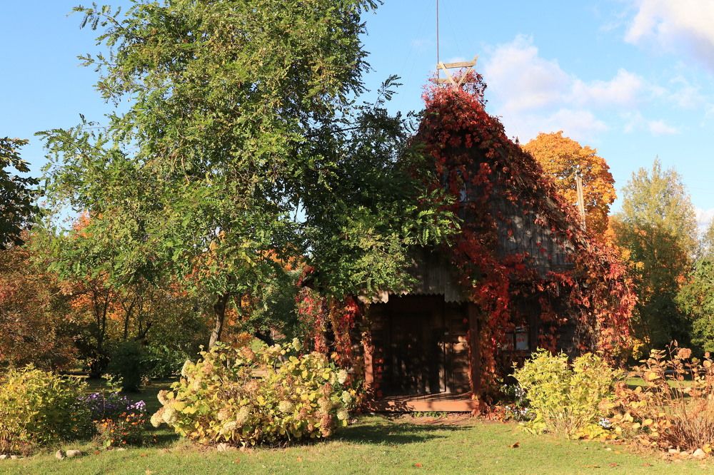 Фотография автора Ольга Никанович