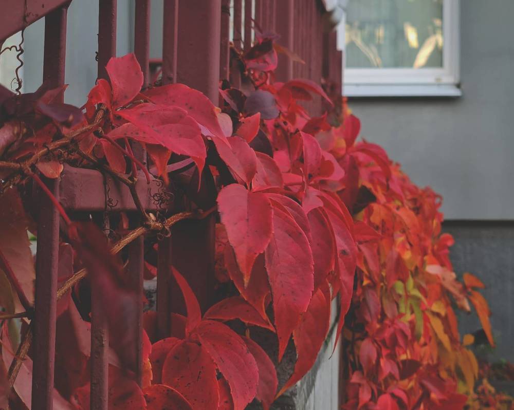 Фотография автора Aliaksandr Kazhdan