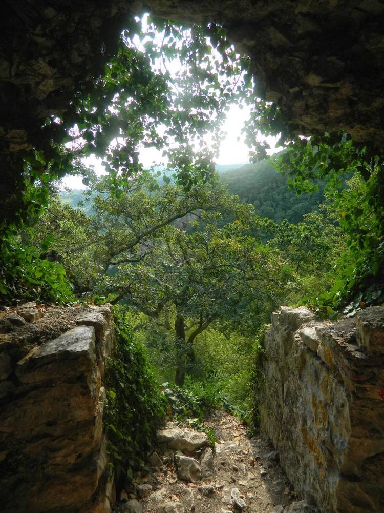 Photograph by Максим Михайлов