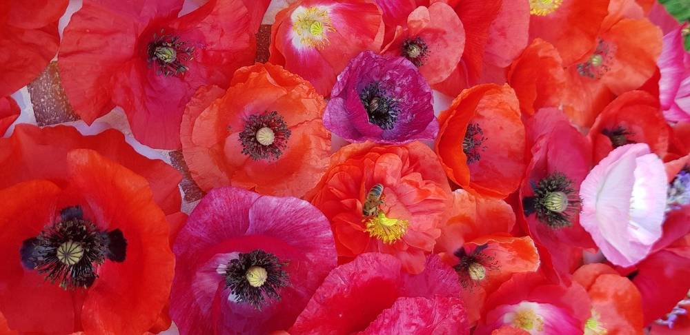 Фотография автора Ольга Мусина