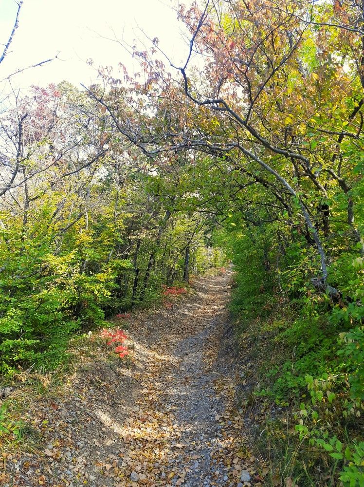 Photograph by Галина Глазкова