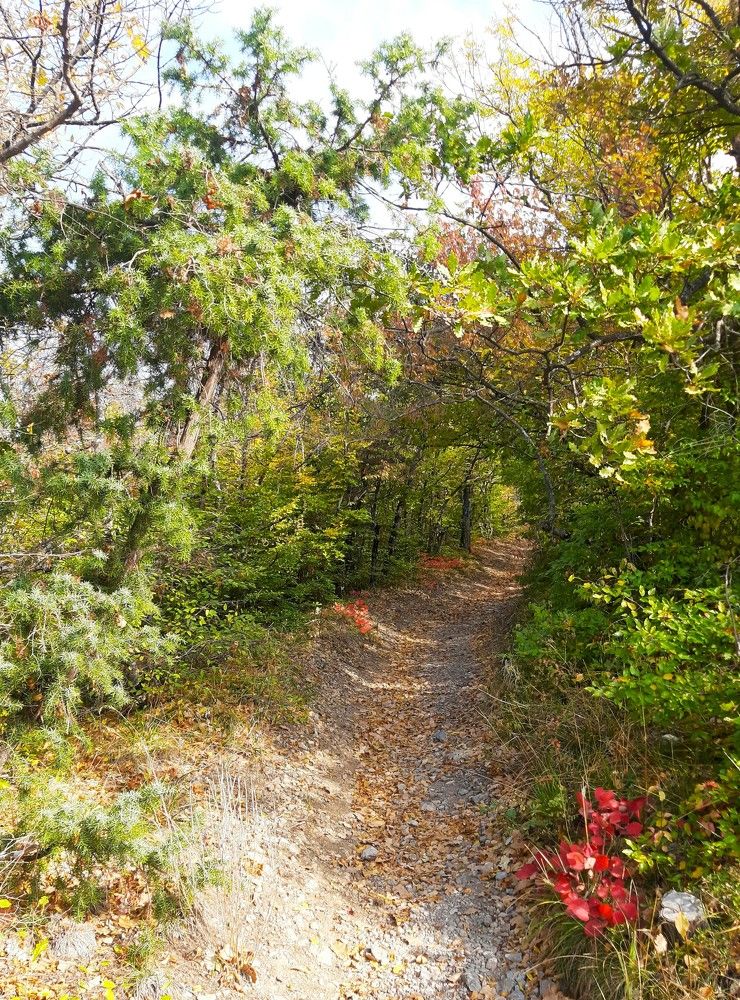 Photograph by Галина Глазкова