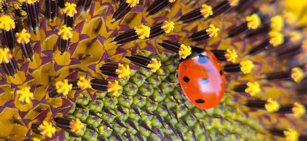 Фотография автора Ольга Мусина