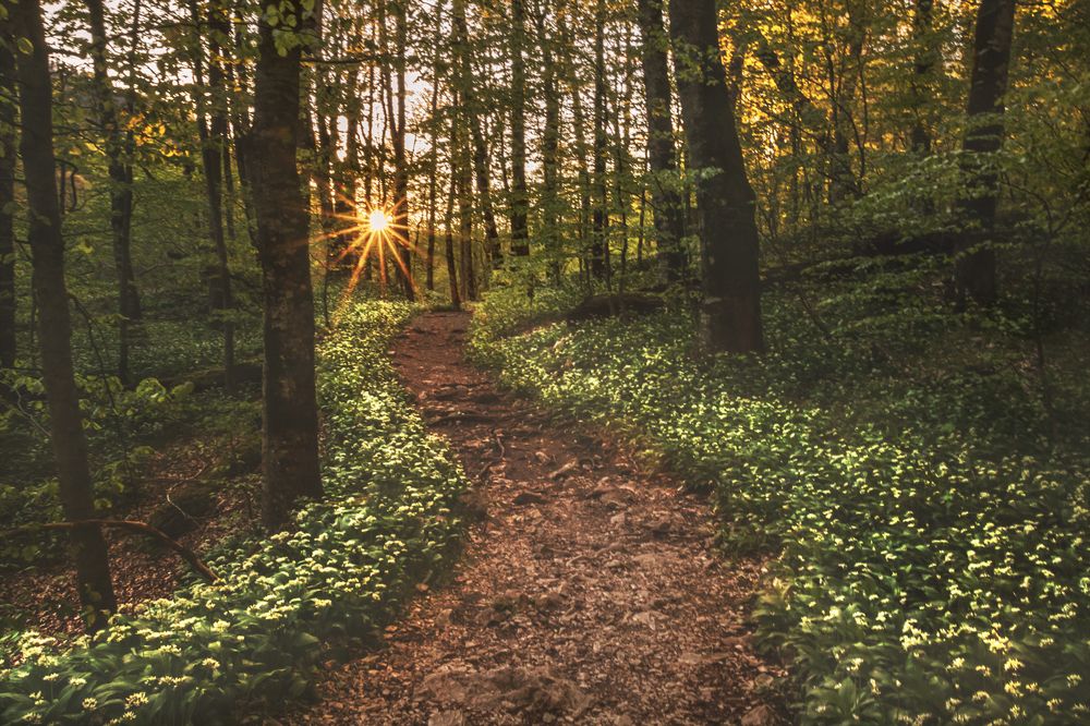 Photograph by Vania Tonova