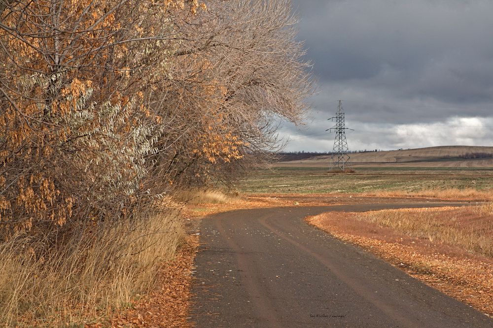 Photograph by Сергей Кириллов