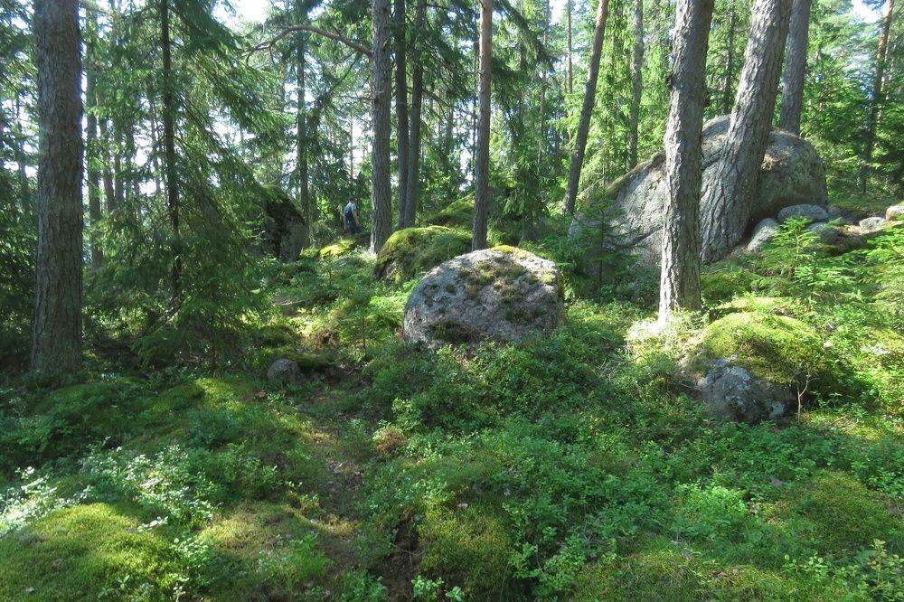 Photograph by Валерия Яскович