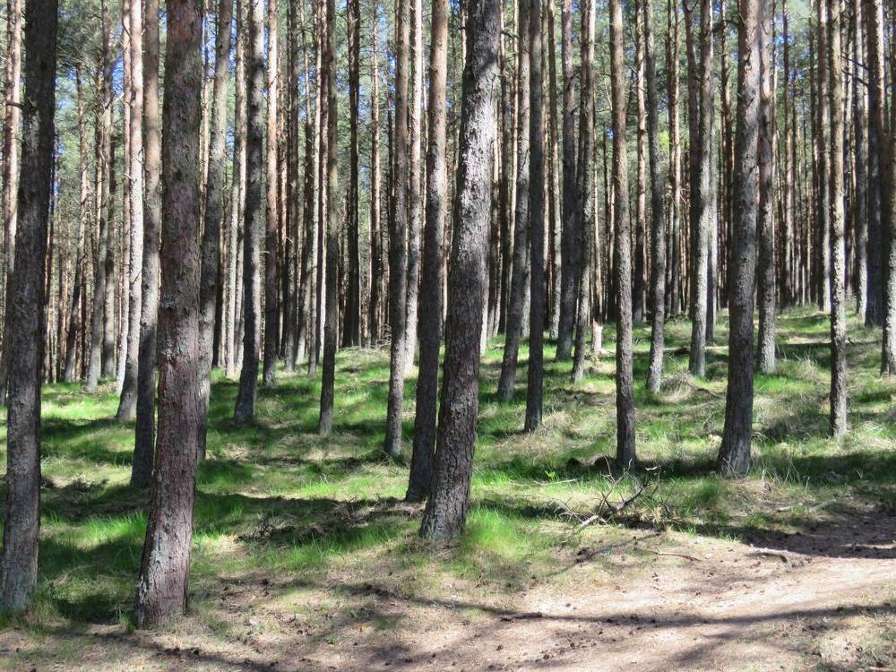 Photograph by Валерия Яскович