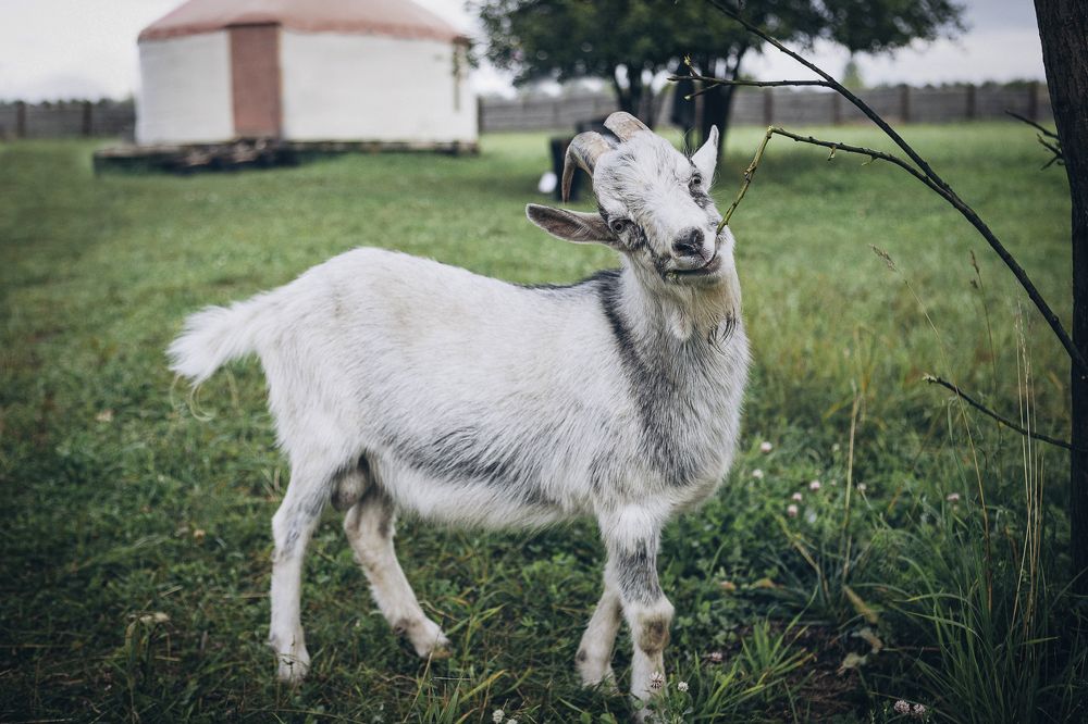 Photograph by Екатерина Бабкина