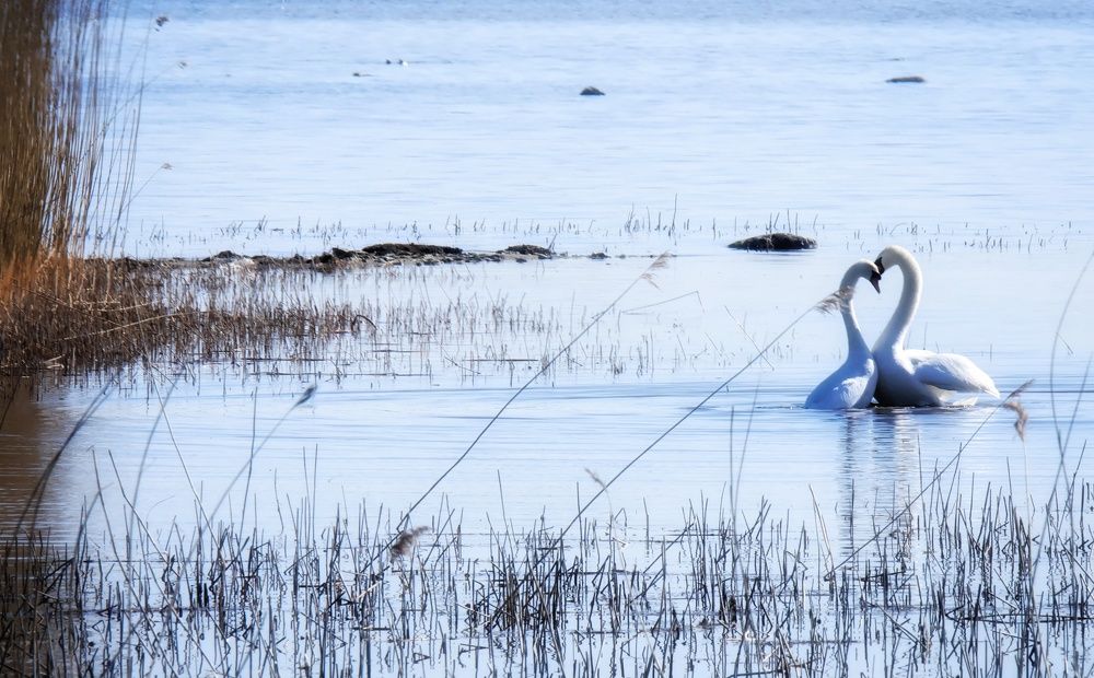 Photograph by Olga Asson