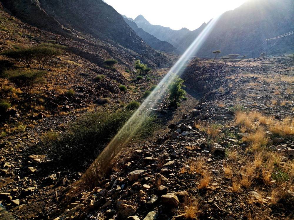 Photograph by Михаил Янкин