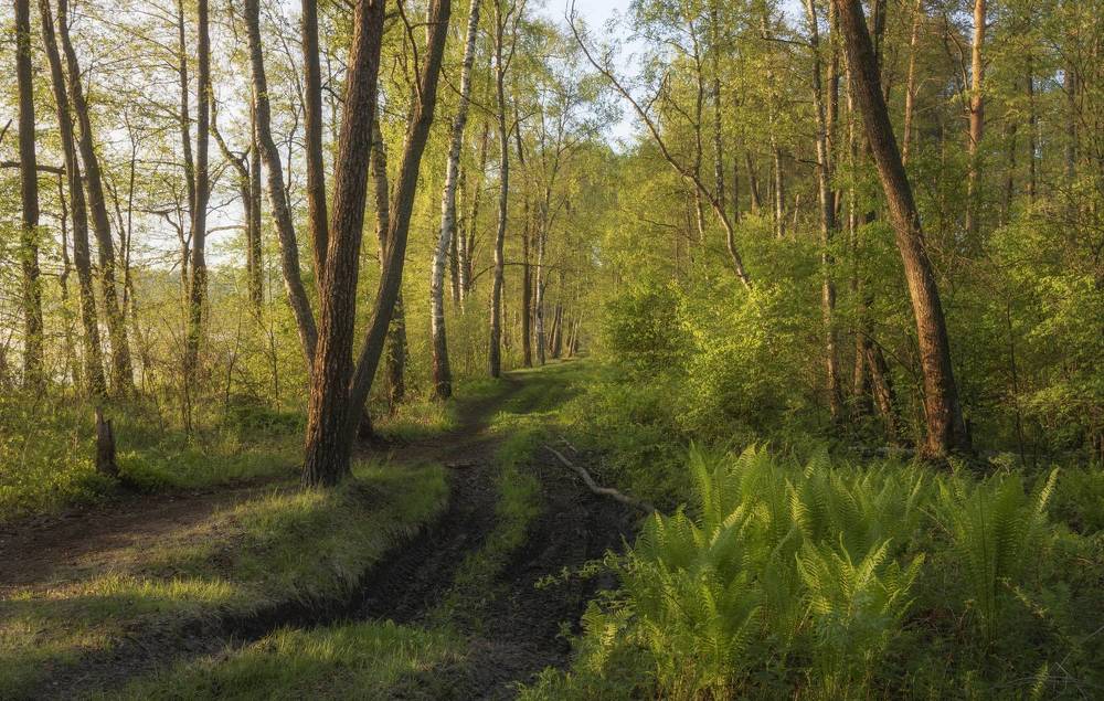 Photograph by Бонина Ольга