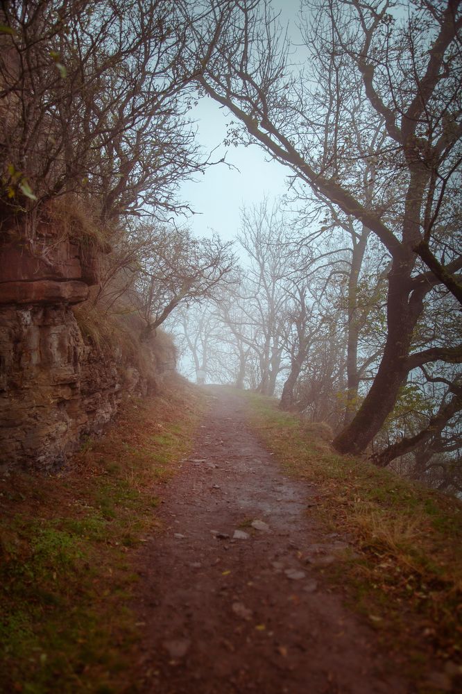 Photograph by Мария Кольцова