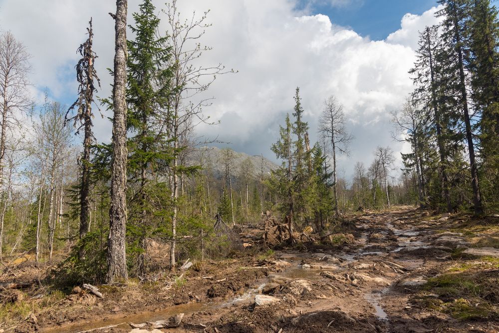 Photograph by Артём Самусенко