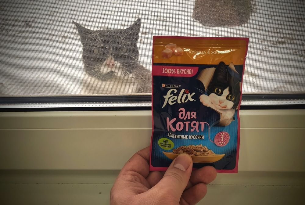 Фотография автора Aliaksandr Kazhdan