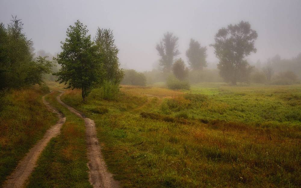 Photograph by Сергей Дишук