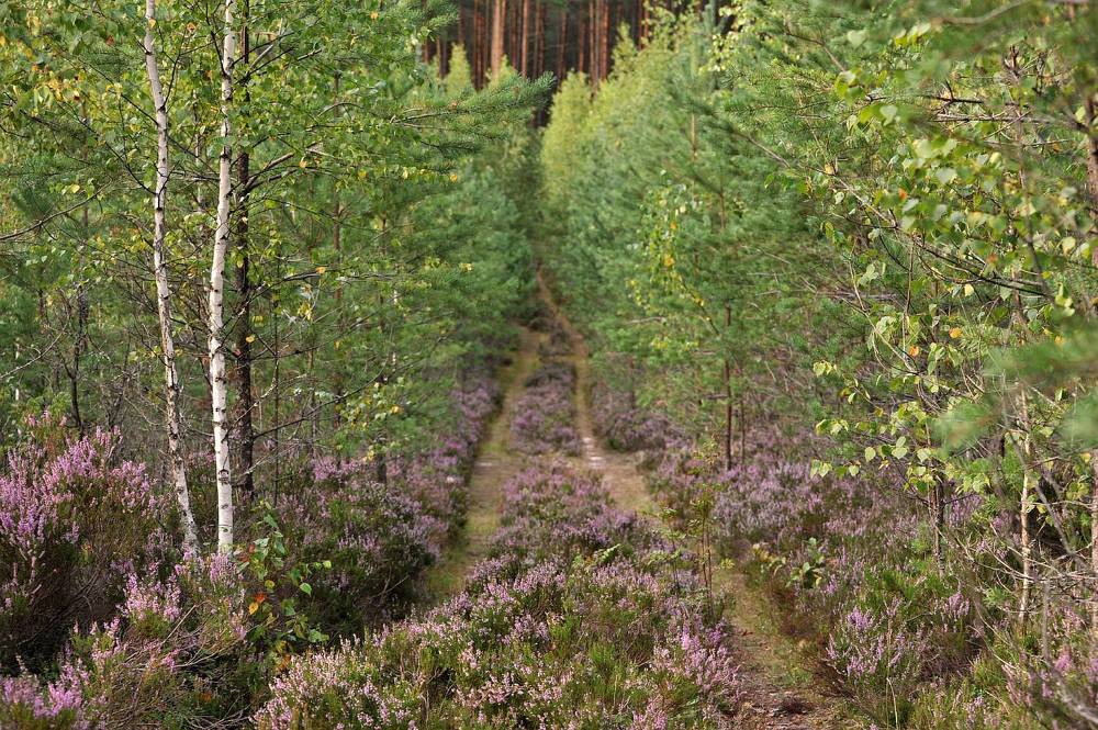 Photograph by Юрий Яковлев