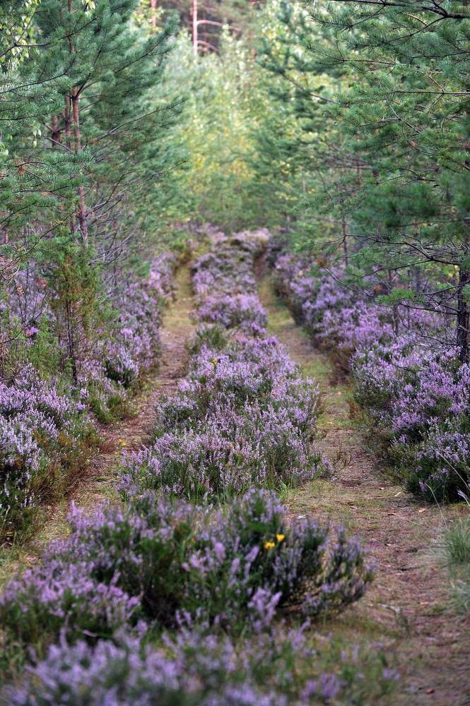 Photograph by Юрий Яковлев