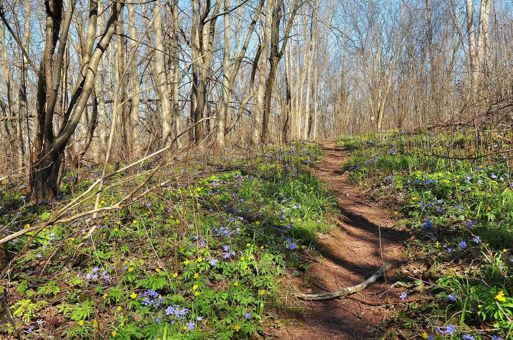 Photograph by Юрий Яковлев