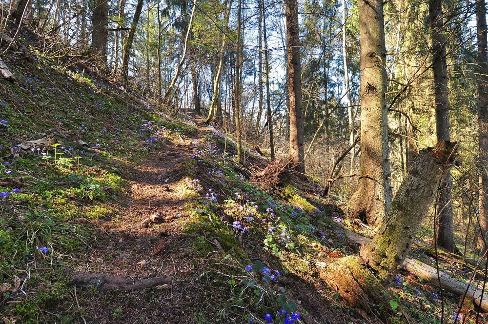 Photograph by Юрий Яковлев