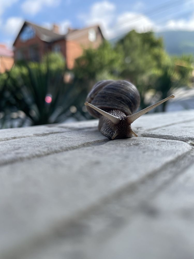 Photograph by Татьяна Токарева