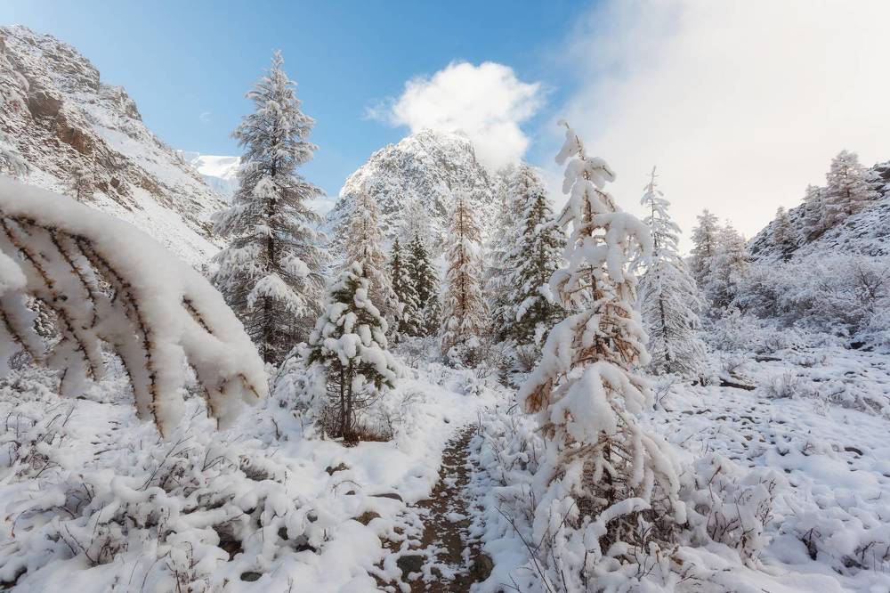 Photograph by Сергей