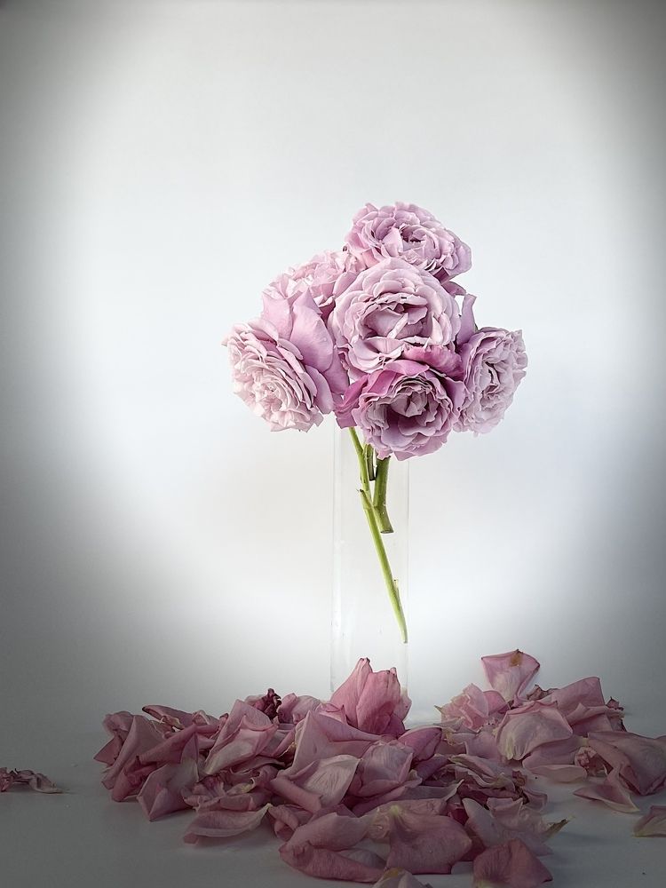 Photograph by Татьяна Токарева