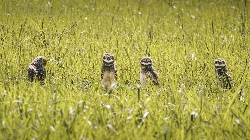 Photograph by María Laura Giorda